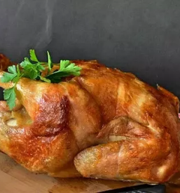 Reja piscancev slovenija