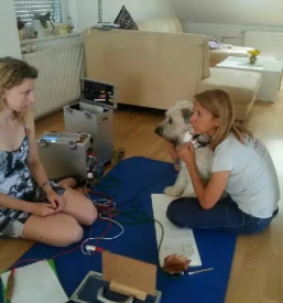 Bioresonanca za male zivali ljubljana