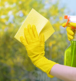 Ciscenje stanovanj goriska