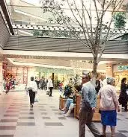 Najem poslovnih prostorov brezice