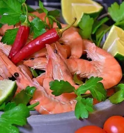 Quality fish restaurant slovenian coast