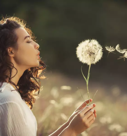 Solne terapije bioresonanca Novo mesto