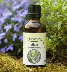 Sportno drustvo smartno pri litiji