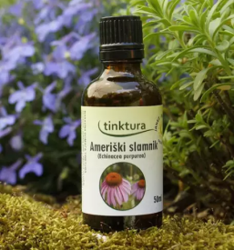 Sportno drustvo smartno pri litiji