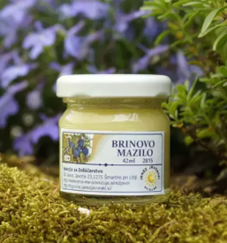 Sportno drustvo smartno pri litiji