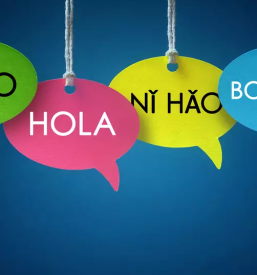 Ugodno online prevajanje tujih jezikov slovenija