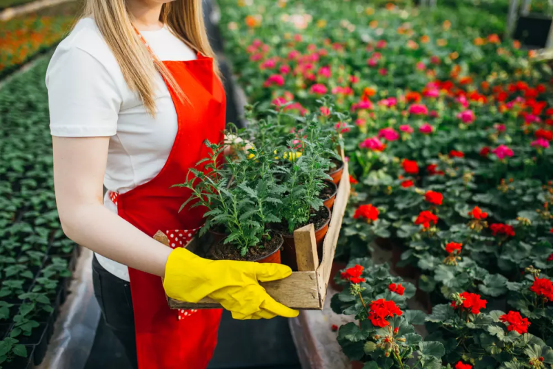 Ugodno vrtnarstvo Osrednja Slovenija