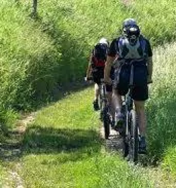 Apartma z zajtrkom v blizini soce