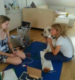 Bioresonanca za male zivali osrednja slovenija