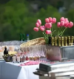 Catering in priprava jedi goriska