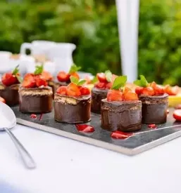 Catering in priprava jedi goriska