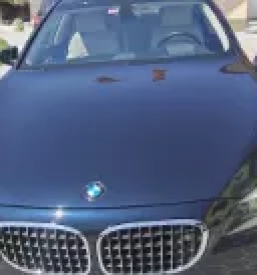 Obnova in barvanje usnja podravska