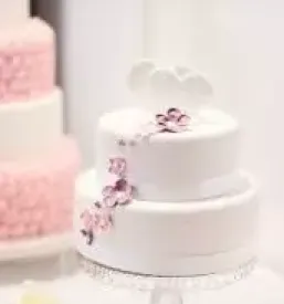 Torte krsko