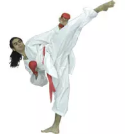 Ugodna karate oblacila slovenija