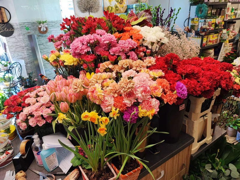 Cvetličarna Lukovica, Domžale