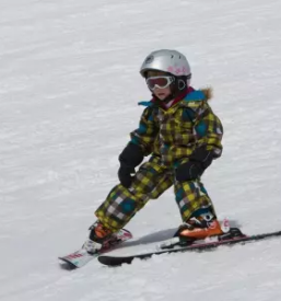 Izposoja in servis smuci vogel