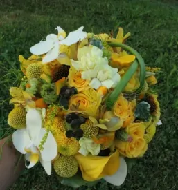 Marketing v hortikulturi