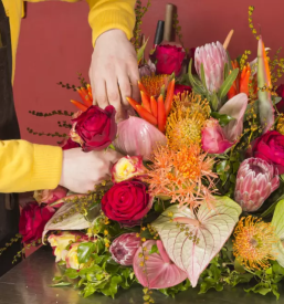 Najboljsa cvetlicarna ptuj