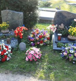 Pogrebno cvetje ptuj