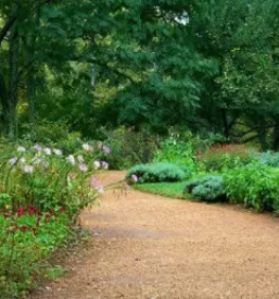 Urejanje okolice ljubljana z okolico