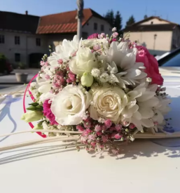 Balkonsko cvetje lukovica