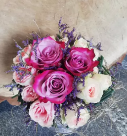 Balkonsko cvetje lukovica