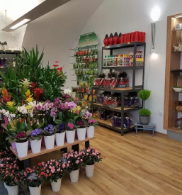 Porocno cvetje lukovica