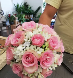 Porocno cvetje lukovica