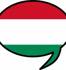 Prevajanje madzarskega jezika pomurska