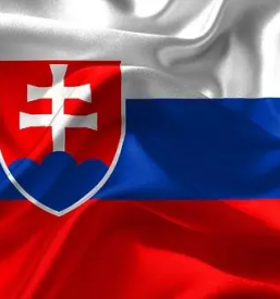 Prevajanje slovascine v slovenscino