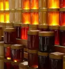 Čebelji propolis Primorska