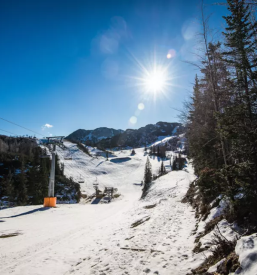 Sola smucanja in bordanja vogel bohinj