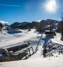 Sola smucanja in bordanja vogel bohinj