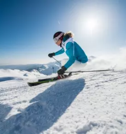 Sola smucanja vogel slovenija