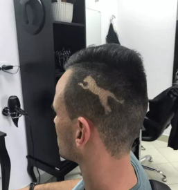 Poceni frizer Brežice