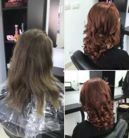 nega las in ugoden frizer Brežice