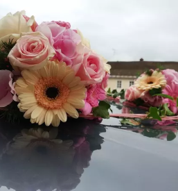 Zalno cvetje lukovica