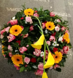 Zalno cvetje lukovica