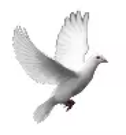 Zalno cvetje vrhnika