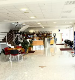 Dobro vulkanizerstvo brezice