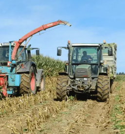 Kosnja trave kocevje