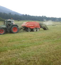 Kosnja trave kocevje