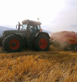 Kosnja trave kocevje