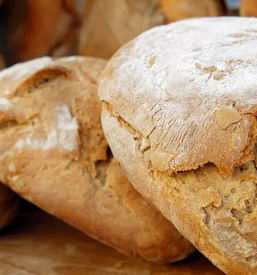 Taprava lepinja Slovenija