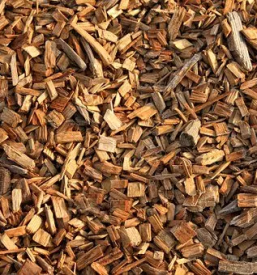 Posek spravilo in prevozi lesa osrednja slovenija primorska