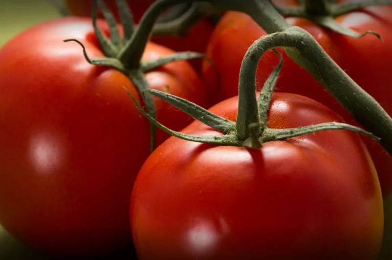 Prodaja domačega paradižnika po Sloveniji vam je pri nas vedno na voljo!
