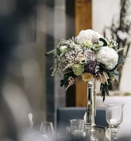 Dobra cvetlicarna pri bobru maribor