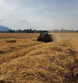 Storitve s kmetijsko mehanizacijo kocevje