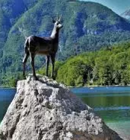 Ugodni apartmaji bohinjsko jezero