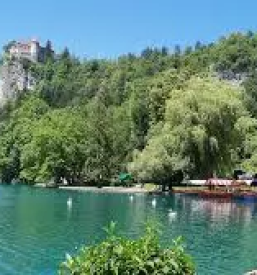 Ugodni apartmaji bohinjsko jezero